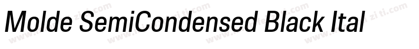 Molde SemiCondensed Black Italic字体转换